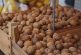 México, uno de los principales productores de nuez a nivel mundial