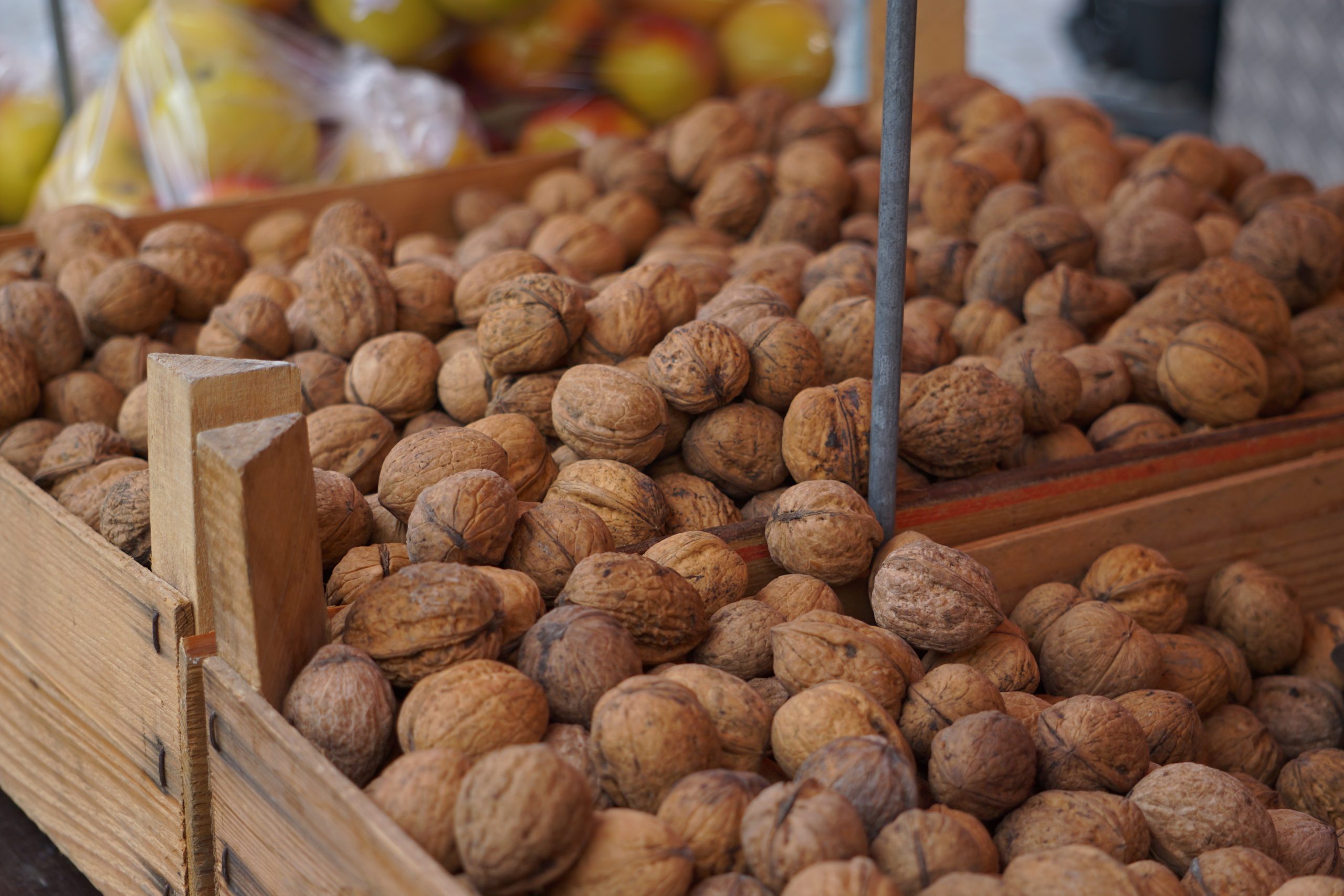 Lena Helfinger, Pixabay/ NUECES