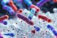 Pesticidas y microplásticos podrían acelerar la resistencia de las bacterias a los antibióticos: Investigación