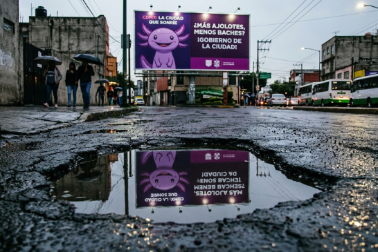Maquillaje morado con dinero público: La sangría presupuestal que prioriza logos sobre baches