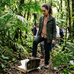 La ley de la selva: Acusan al régimen de pisotear el orden jurídico mientras sobregula el marco constitucional