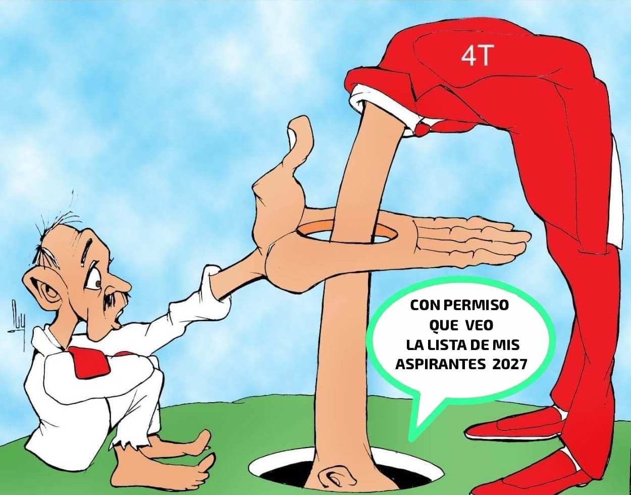 bienestar, candidatos, elecciones, morena