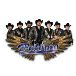 Grupo Palomo alista nuevo disco y promete una noche inolvidable en el Tonic Fest