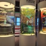 Frenar el colapso global: La muestra interactiva 